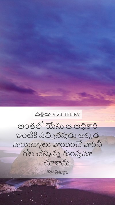 మత్తయి 9:23 TELIRV Bible Verse Image