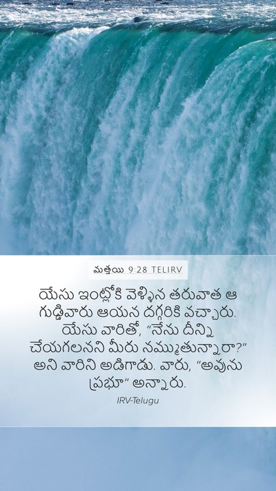 మత్తయి 9:28 TELIRV Bible Verse Image