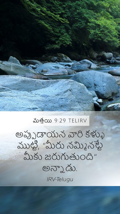 మత్తయి 9:29 TELIRV Bible Verse Image