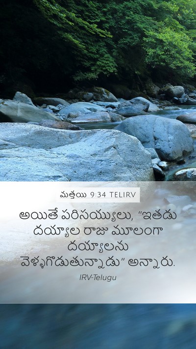 మత్తయి 9:34 TELIRV Bible Verse Image