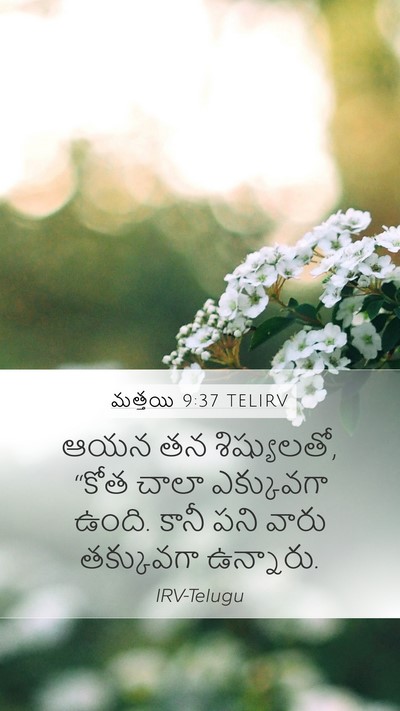 మత్తయి 9:37 TELIRV Bible Verse Image