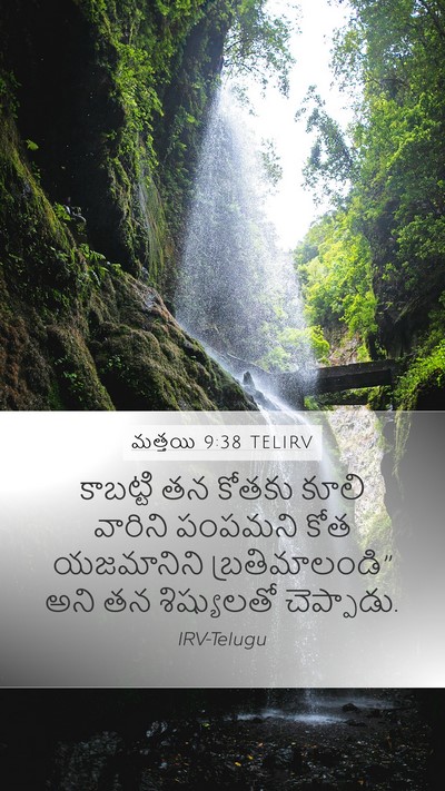 మత్తయి 9:38 TELIRV Mobile Phone Wallpaper - కాబట్టి తన కోతకు - Mobile Bible Verse Wallpaper