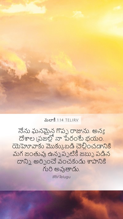 మలాకీ 1:14 TELIRV Bible Verse Image