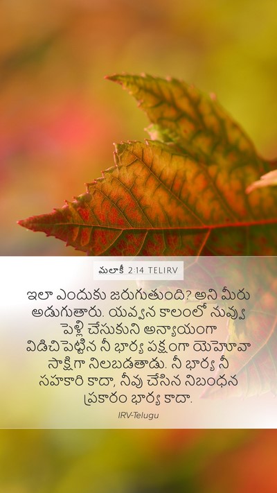 మలాకీ 2:14 TELIRV Bible Verse Image