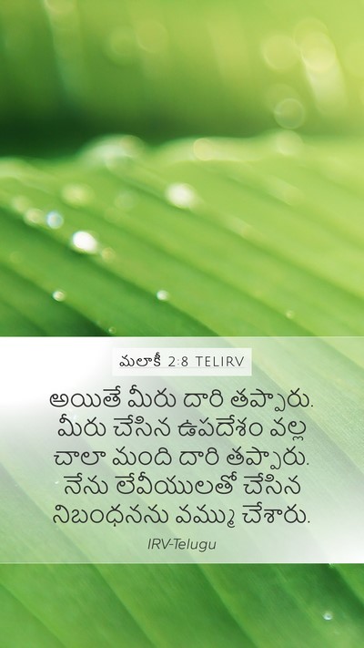 మలాకీ 2:8 TELIRV Bible Verse Image