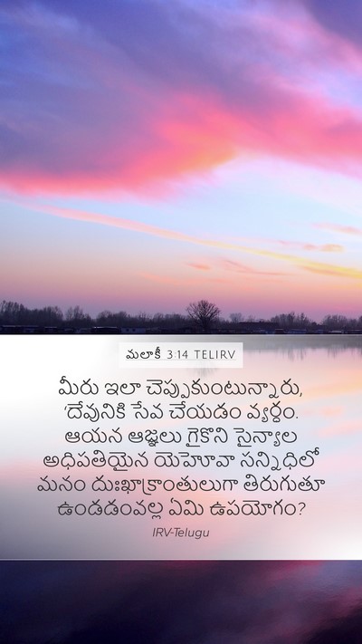 మలాకీ 3:14 TELIRV Bible Verse Image