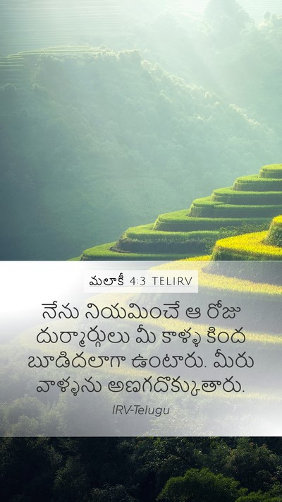 మలాకీ 4:3 TELIRV Bible Verse Image
