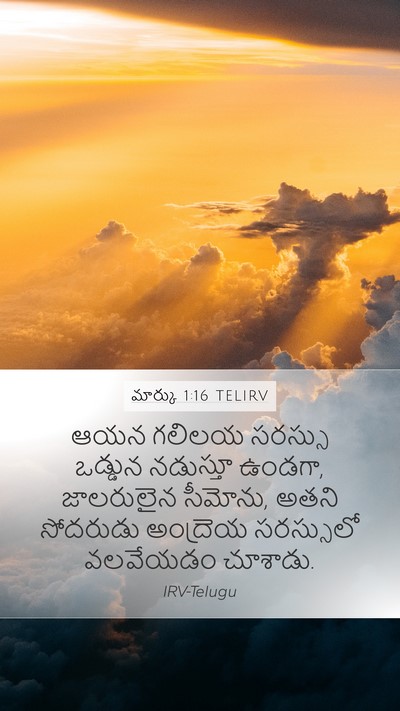 మార్కు 1:16 TELIRV Bible Verse Image