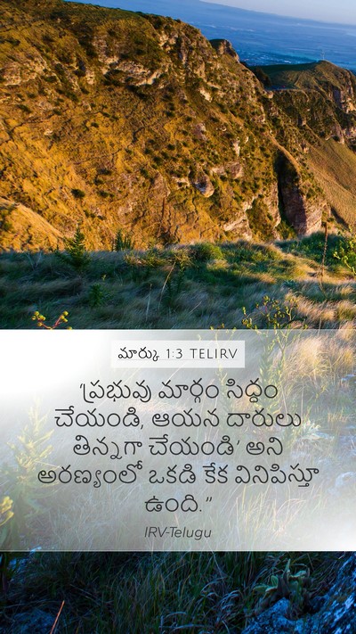 మార్కు 1:3 TELIRV Bible Verse Image