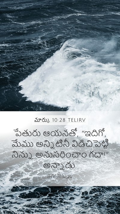 మార్కు 10:28 TELIRV Bible Verse Image
