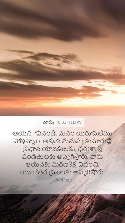 మార్కు 10:33 TELIRV Bible Verse Image