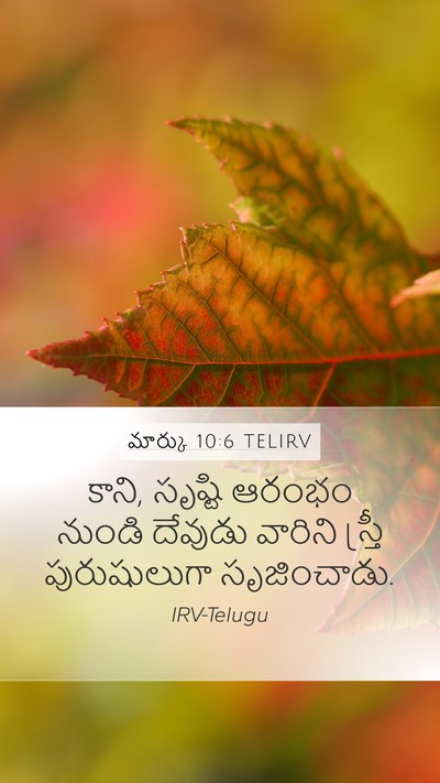 మార్కు 10:6 TELIRV Bible Verse Image