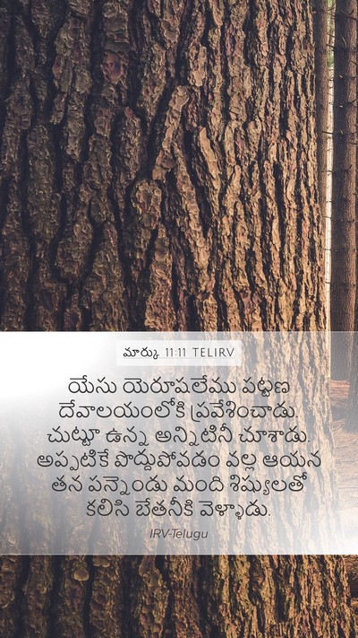 మార్కు 11:11 TELIRV Bible Verse Image