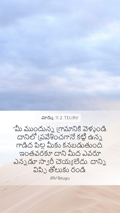 మార్కు 11:2 TELIRV Bible Verse Image