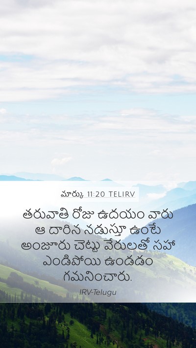 మార్కు 11:20 TELIRV Bible Verse Image