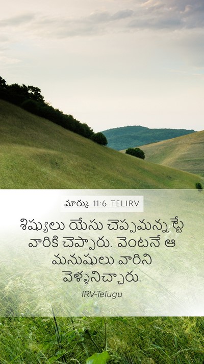 మార్కు 11:6 TELIRV Mobile Phone Wallpaper - శిష్యులు యేసు - Mobile Bible Verse Wallpaper