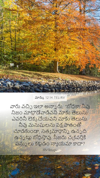 మార్కు 12:14 TELIRV Bible Verse Image