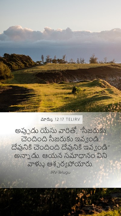 మార్కు 12:17 TELIRV Bible Verse Image