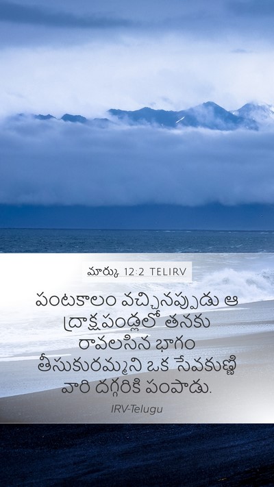 మార్కు 12:2 TELIRV Bible Verse Image