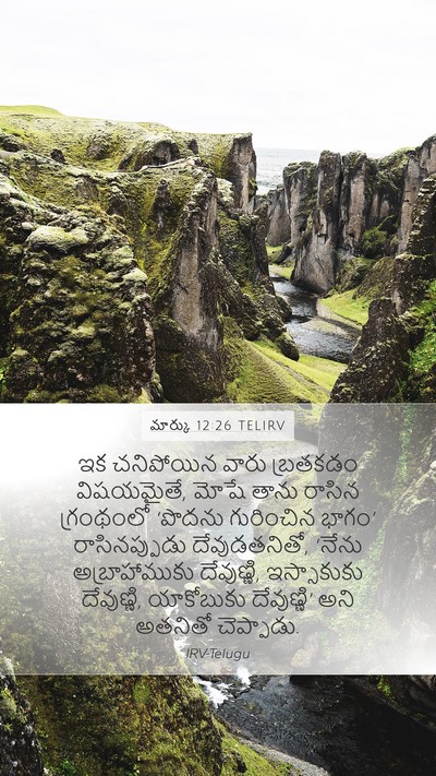 మార్కు 12:26 TELIRV Bible Verse Image