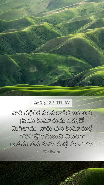 మార్కు 12:6 TELIRV Bible Verse Image