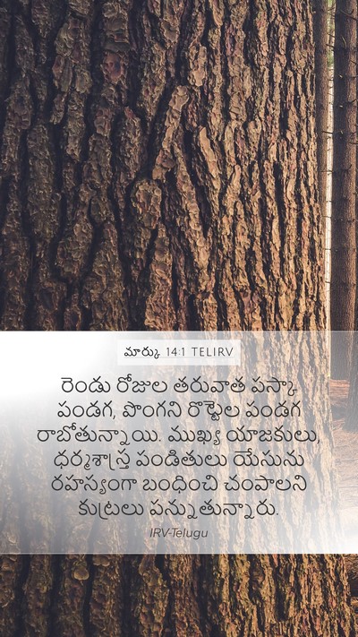 మార్కు 14:1 TELIRV Bible Verse Image