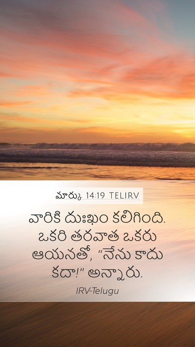 మార్కు 14:19 TELIRV Bible Verse Image