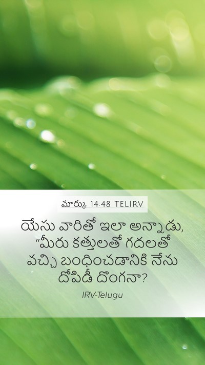 మార్కు 14:48 TELIRV Bible Verse Image