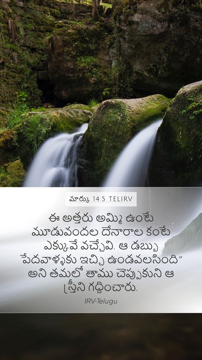 మార్కు 14:5 TELIRV Bible Verse Image