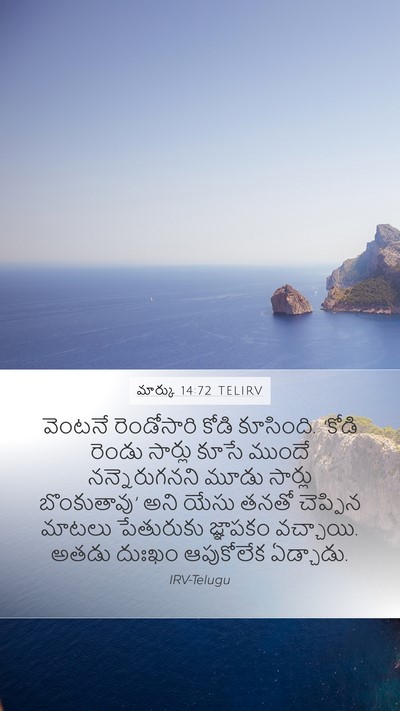 మార్కు 14:72 TELIRV Bible Verse Image