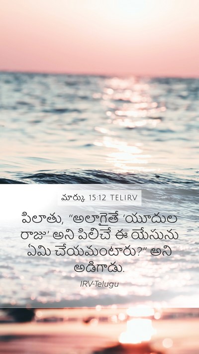 మార్కు 15:12 TELIRV Bible Verse Image