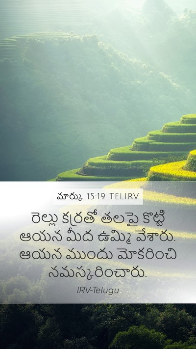 మార్కు 15:19 TELIRV Bible Verse Image