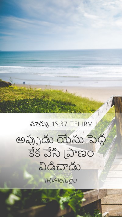 మార్కు 15:37 TELIRV Bible Verse Image