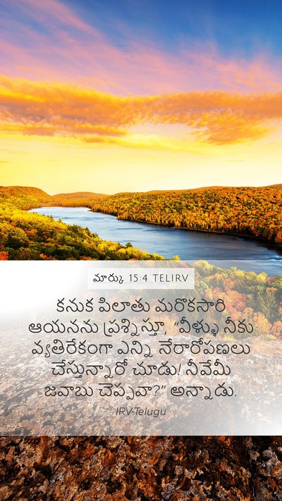మార్కు 15:4 TELIRV Mobile Phone Wallpaper - కనుక పిలాతు - Mobile Bible Verse Wallpaper