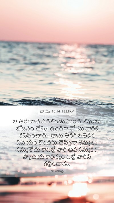 మార్కు 16:14 TELIRV Bible Verse Image
