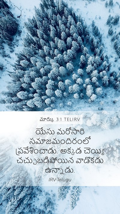 మార్కు 3:1 TELIRV Bible Verse Image