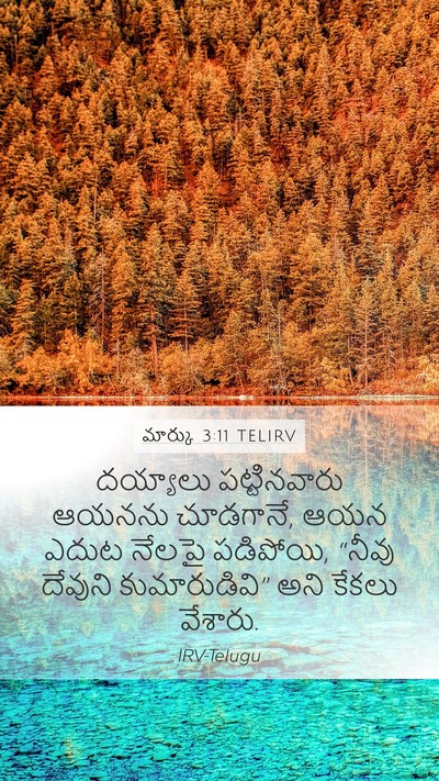 మార్కు 3:11 TELIRV Bible Verse Image