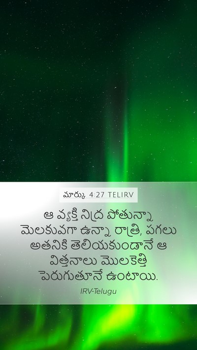 మార్కు 4:27 TELIRV Mobile Phone Wallpaper - ఆ వ్యక్తి నిద్ర - Mobile Bible Verse Wallpaper