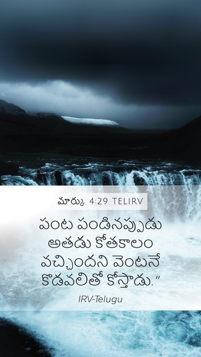 మార్కు 4:29 TELIRV Bible Verse Image