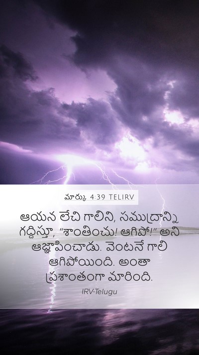 మార్కు 4:39 TELIRV Bible Verse Image