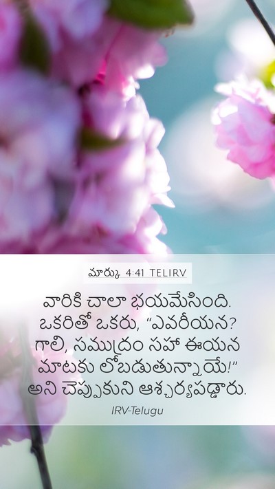 మార్కు 4:41 TELIRV Bible Verse Image