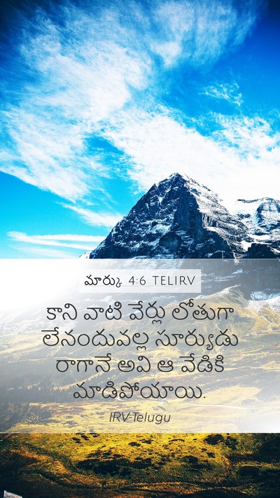 మార్కు 4:6 TELIRV Bible Verse Image
