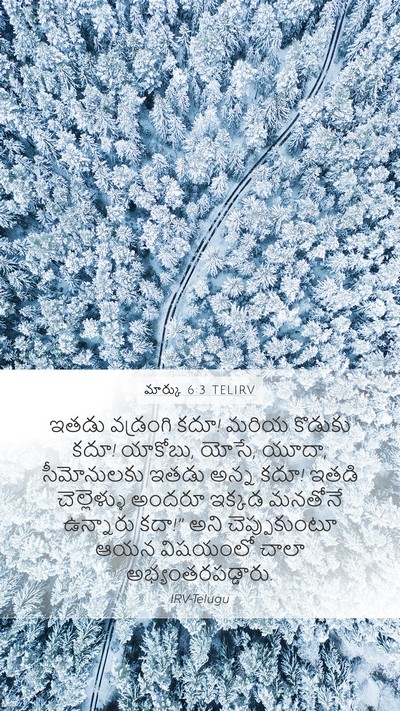 మార్కు 6:3 TELIRV Bible Verse Image