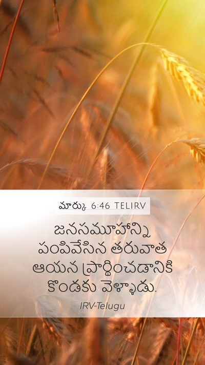 మార్కు 6:46 TELIRV Bible Verse Image