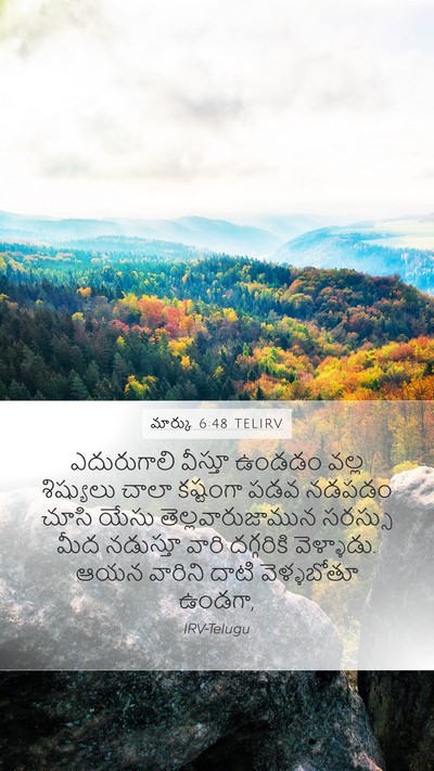 మార్కు 6:48 TELIRV Bible Verse Image