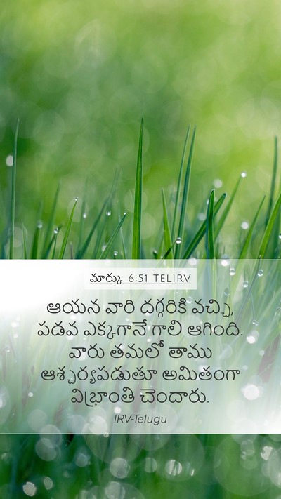 మార్కు 6:51 TELIRV Bible Verse Image
