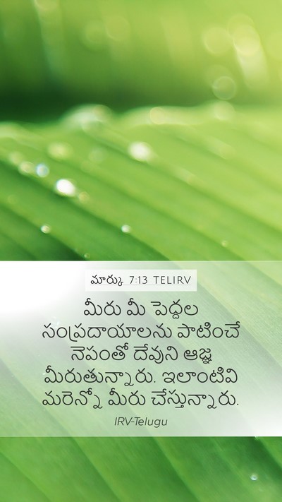 మార్కు 7:13 TELIRV Bible Verse Image