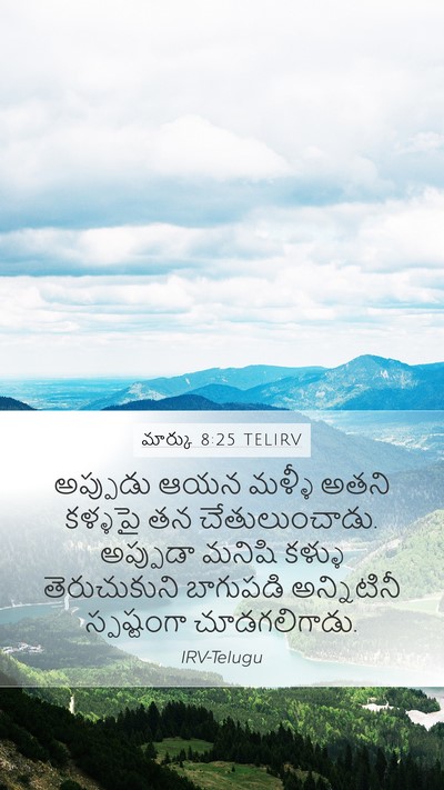 మార్కు 8:25 TELIRV Bible Verse Image