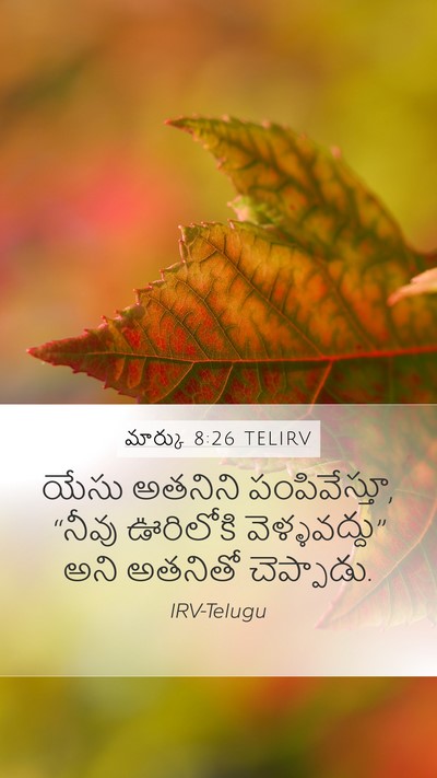 మార్కు 8:26 TELIRV Mobile Phone Wallpaper - యేసు అతనిని - Mobile Bible Verse Wallpaper