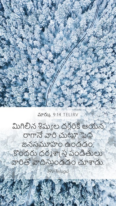 మార్కు 9:14 TELIRV Bible Verse Image